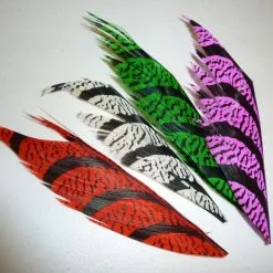 Nature's Spirit Lady Amherst Centre Tail Piece - Funky Fly Tying