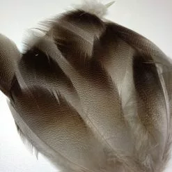 Funky Bronze Mallard 12 Pack - Funky Fly Tying