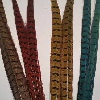 Chevron Cock Pheasant Tail Feather - Funky Fly Tying 3 Chevron Cock Pheasant Tail Feather - Funky Fly Tying