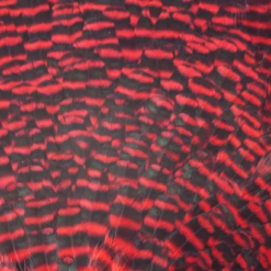 Chevron Grade 1 Complete Hen Saddle - Funky Fly Tying -Fly Tying Materials Sales Chevron Grade 1 Complete Hen Saddle 1 1