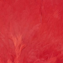 Chevron Grade 1 Complete Hen Saddle - Funky Fly Tying -Fly Tying Materials Sales Chevron Grade 1 Complete Hen Saddle Dyed Red 1