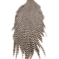 Chevron Grade 2 Rooster Neck Cape - Funky Fly Tying