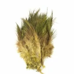 Fish Hunter Strung Ringneck Pheasant Rump Hackle - Funky Fly Tying 30 Fish Hunter Strung Ringneck Pheasant Rump Hackle - Funky Fly Tying -Fly Tying Materials Sales Fish Hunter Ringneck Pheasant Rump Hackle Dark Olive