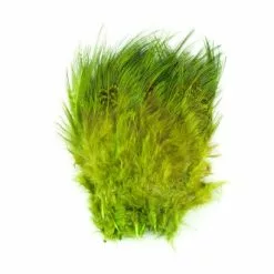 Fish Hunter Strung Ringneck Pheasant Rump Hackle - Funky Fly Tying 27 Fish Hunter Strung Ringneck Pheasant Rump Hackle - Funky Fly Tying -Fly Tying Materials Sales Fish Hunter Ringneck Pheasant Rump Hackle Fl Chartreuse 1
