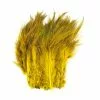 Fish Hunter Strung Ringneck Pheasant Rump Hackle - Funky Fly Tying -Fly Tying Materials Sales Fish Hunter Ringneck Pheasant Rump Hackle Lemon Yellow
