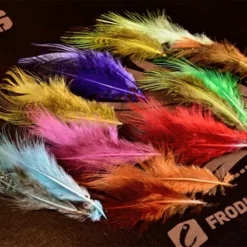 Frodin Feather Packs - Funky Fly Tying -Fly Tying Materials Sales Frodin Pheasant Rump Feather 100 Pack 2