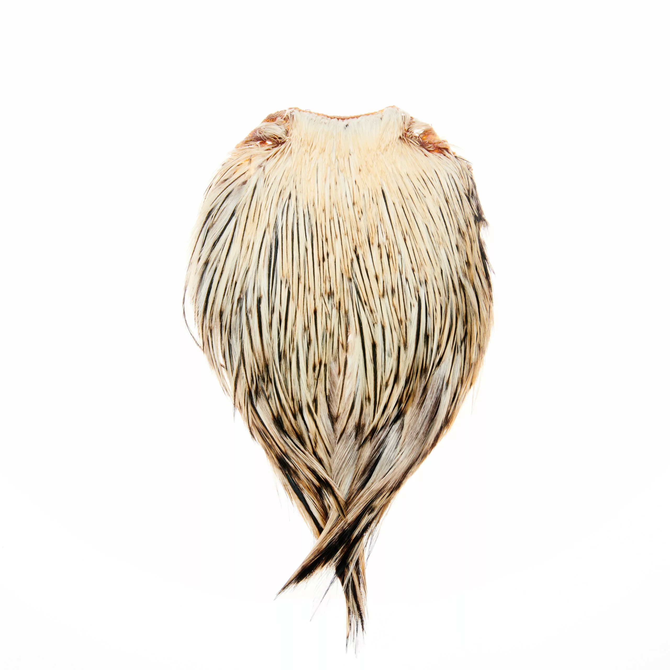 Funky Cock Capes - Funky Fly Tying 4 Funky Cock Capes - Funky Fly Tying - Image 2