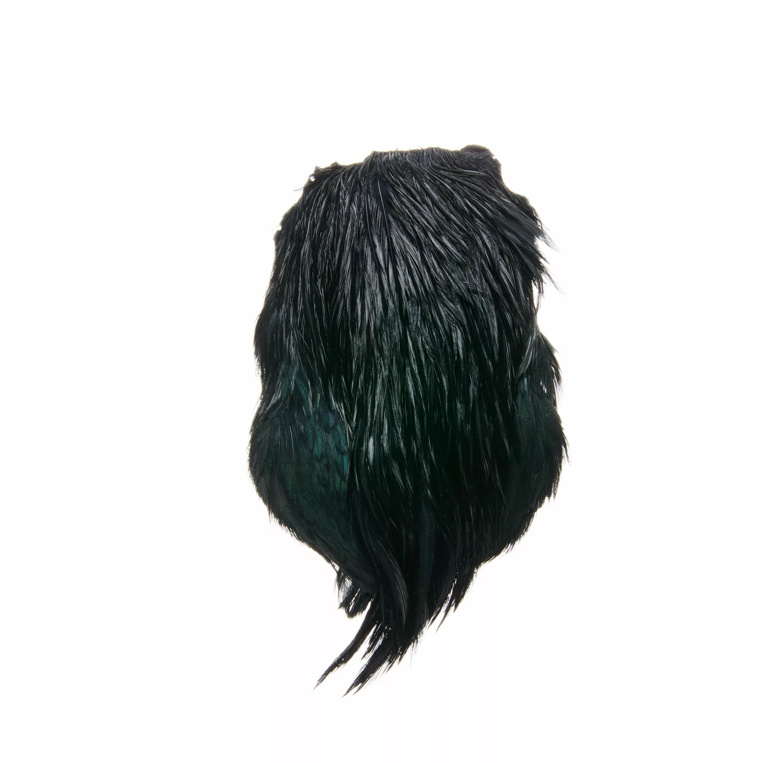 Funky Cock Capes - Funky Fly Tying 7 Funky Cock Capes - Funky Fly Tying - Image 5