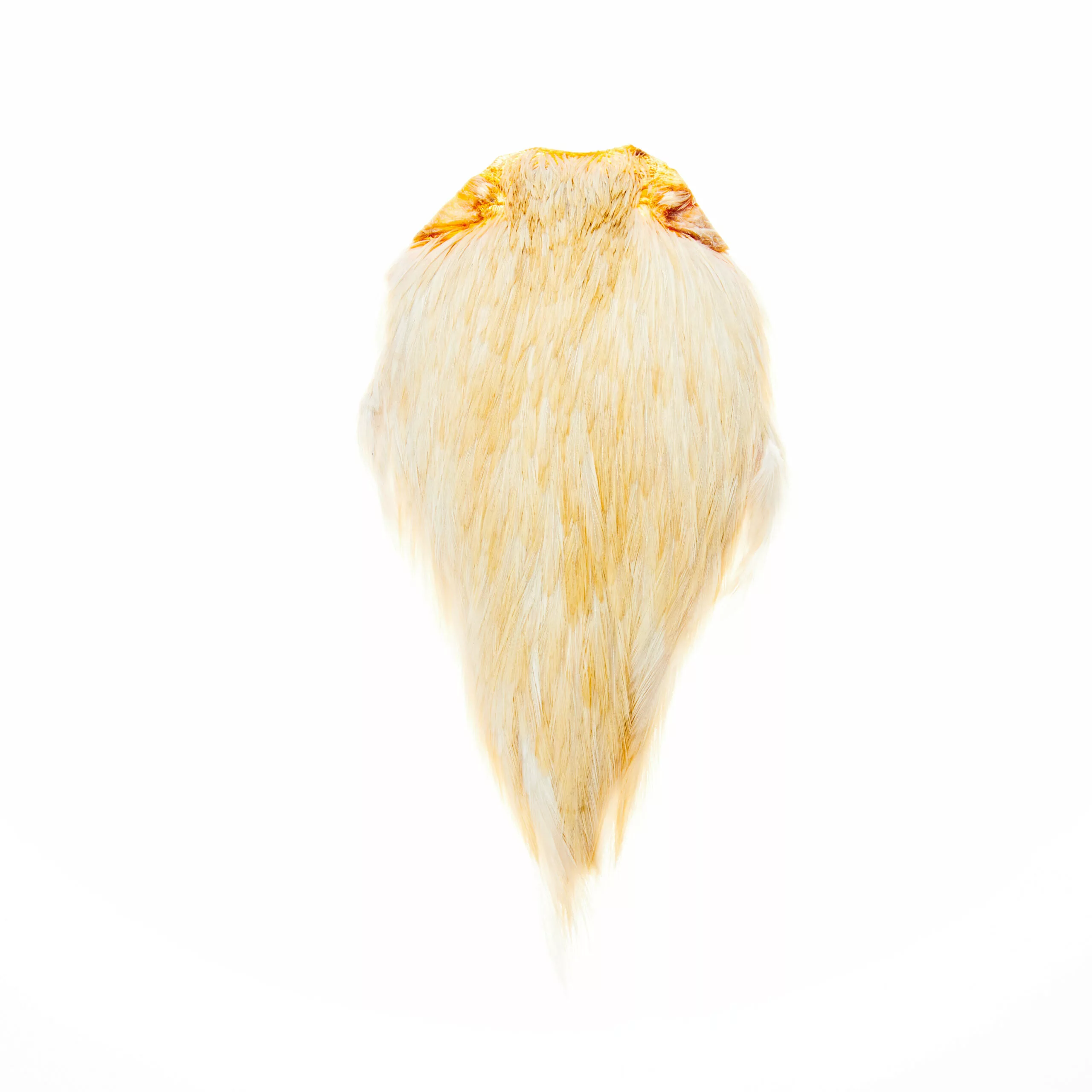 Funky Cock Capes - Funky Fly Tying 10 Funky Cock Capes - Funky Fly Tying - Image 8