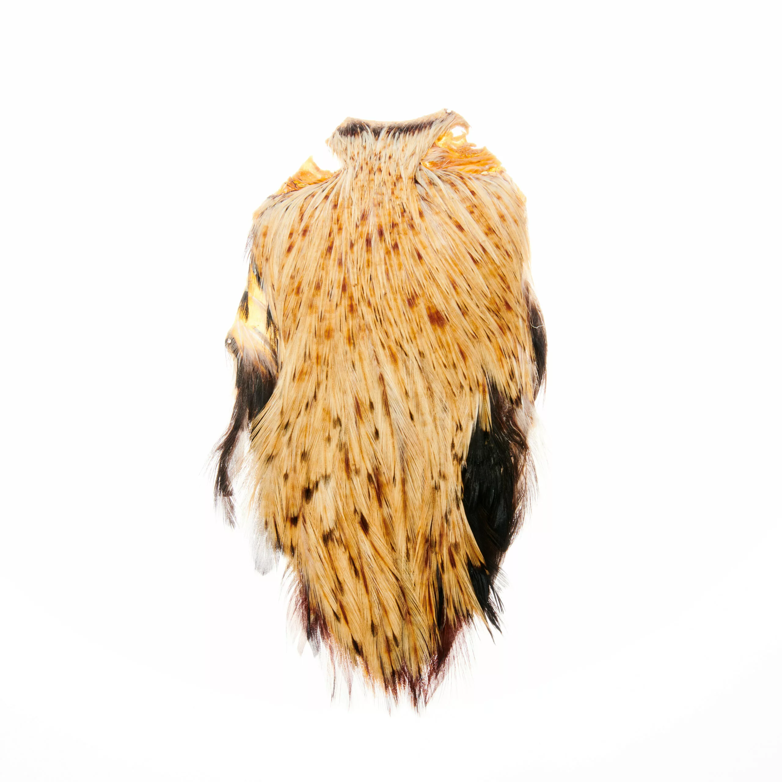 Funky Cock Capes - Funky Fly Tying 12 Funky Cock Capes - Funky Fly Tying - Image 10