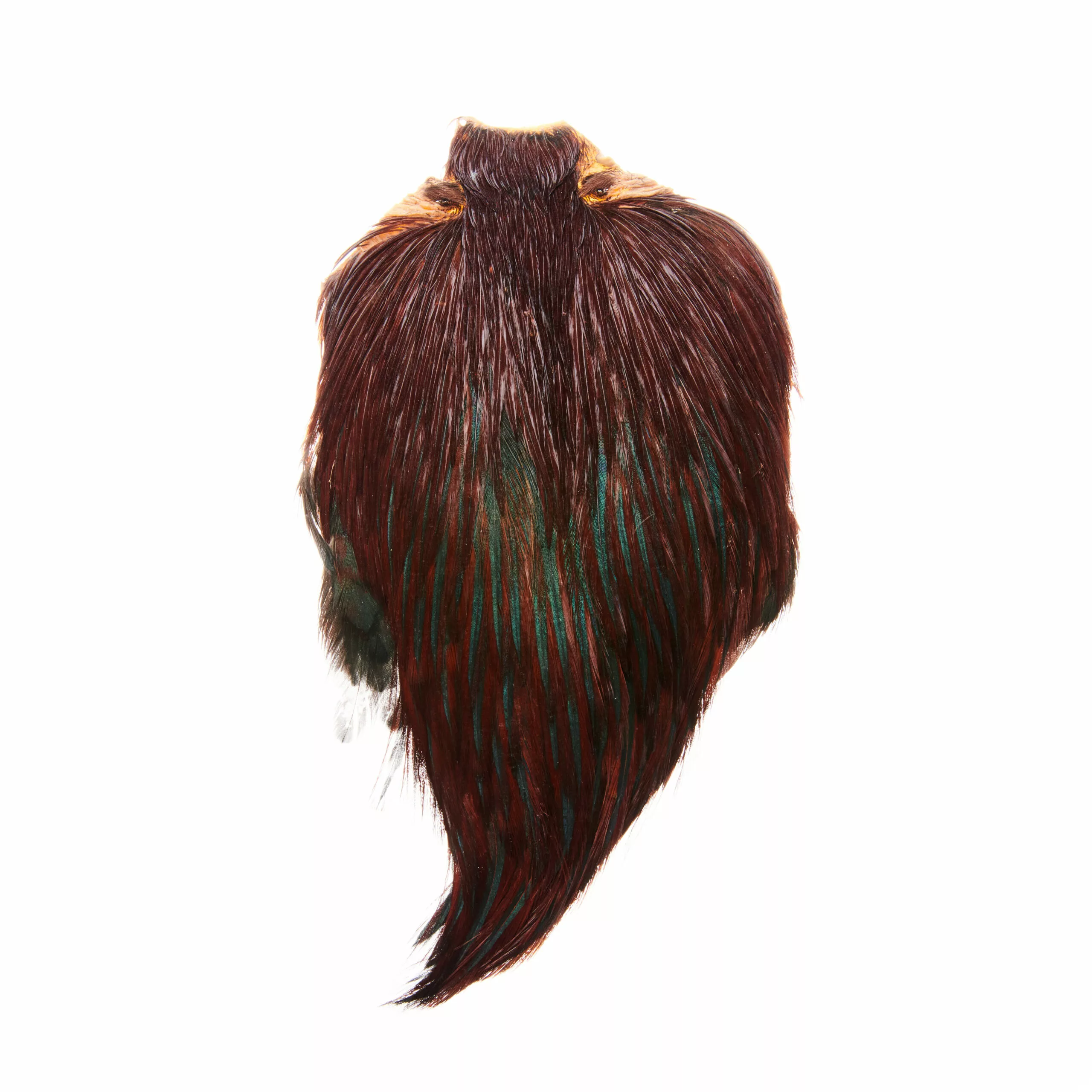 Funky Cock Capes - Funky Fly Tying 16 Funky Cock Capes - Funky Fly Tying - Image 14