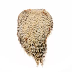 Funky Cock Capes - Funky Fly Tying 40 Funky Cock Capes - Funky Fly Tying -Fly Tying Materials Sales Funky Cock Cape Light Cree Variant 23 1 scaled 1