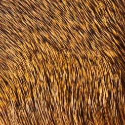 Funky Deer Hair - Funky Fly Tying -Fly Tying Materials Sales Funky Deer Hair Golden Brown 14412 1