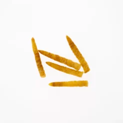 Funky Extended Caddis Fly Bodies (Large) - Funky Fly Tying -Fly Tying Materials Sales Funky Extended Bodies Caddis Large Golden Stone 233 scaled 4