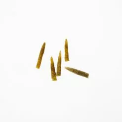 Funky Extended Caddis Fly Bodies (Medium) - Funky Fly Tying