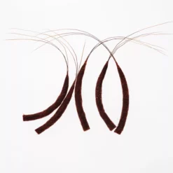 Funk Extended Mayfly Bodies (Large) - Funky Fly Tying -Fly Tying Materials Sales Funky Extended Bodies Mayfly Large Brown Drake 243 scaled 2