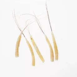 Funk Extended Mayfly Bodies (Large) - Funky Fly Tying -Fly Tying Materials Sales Funky Extended Bodies Mayfly Large Cream Danica 241 scaled 1