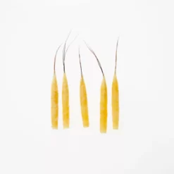 Funk Extended Mayfly Bodies (Large) - Funky Fly Tying -Fly Tying Materials Sales Funky Extended Bodies Mayfly Large Yellow Danica 242 scaled 1