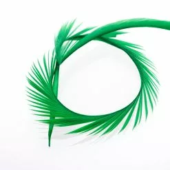 Funky Goose Biots - Funky Fly Tying -Fly Tying Materials Sales Funky Goose Biots Fl Green v1 scaled 2