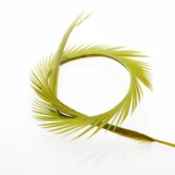 Funky Goose Biots - Funky Fly Tying -Fly Tying Materials Sales Funky Goose Biots Olive v1 scaled 1