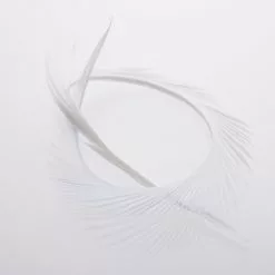 Funky Goose Biots - Funky Fly Tying -Fly Tying Materials Sales Funky Goose Biots Royal White scaled 2