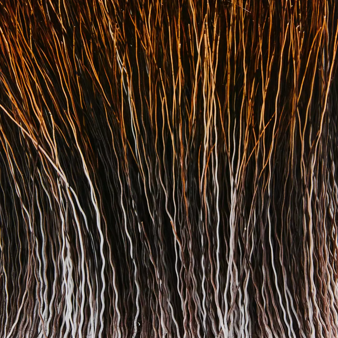 Funky Moose Main - Funky Fly Tying 5 Funky Moose Main - Funky Fly Tying - Image 3