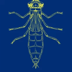 Gulff UV Curable Varnish - Funky Fly Tying