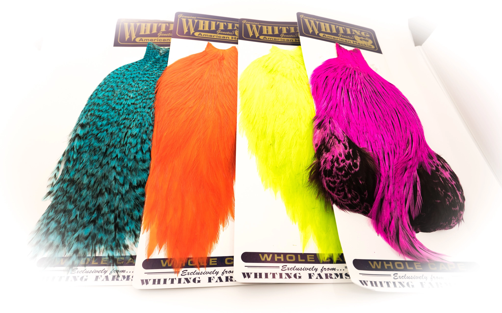 Whiting American Rooster Capes - Funky Fly Tying 4 Whiting American Rooster Capes - Funky Fly Tying - Image 2