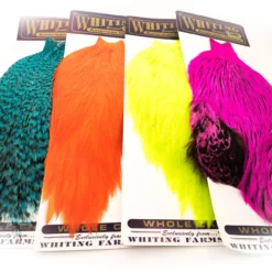 Whiting American Rooster Capes - Funky Fly Tying