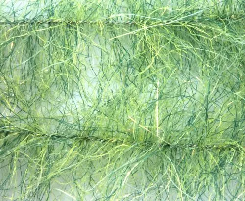 H2O Sculpting Flash Brush 0.5" - Funky Fly Tying 28 H2O Sculpting Flash Brush 0.5" - Funky Fly Tying - Image 26