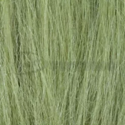 Hareline Extra Select Craft Fur - Funky Fly Tying -Fly Tying Materials Sales Hareline Extra Select Craft Fur Golden Olive 1