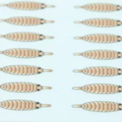 Hemingways Hemingway's Gammarus Backs - Funky Fly Tying -Fly Tying Materials Sales Hemingways Gammarus Backs Orange