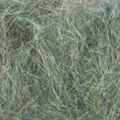 Hemingways Hemingway's Hare's Plus UV Dubbing Packets - Funky Fly Tying 72 Hemingways Hemingway's Hare's Plus UV Dubbing Packets - Funky Fly Tying -Fly Tying Materials Sales Hemingways Hares Plus UV Dubbing Packets 2