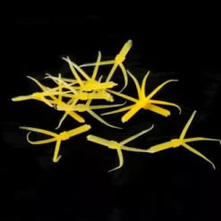 Hemingways Hemingway's Mayfly Nymph Rubber Tails - Funky Fly Tying -Fly Tying Materials Sales Hemingways Mayfly Nymph Rubber Tails 5 1