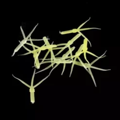 Hemingways Hemingway's Mayfly Nymph Rubber Tails - Funky Fly Tying -Fly Tying Materials Sales Hemingways Mayfly Nymph Rubber Tails 6