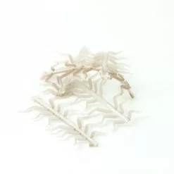 Hemingways Hemingway's Stonefly Nymph Rubber Legs - Funky Fly Tying -Fly Tying Materials Sales Hemingways Stonefly Nymph Rubber Legs 1 1