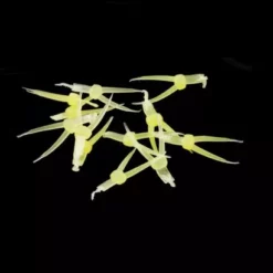 Hemingways Hemingway's Stonefly Nymph Tails - Funky Fly Tying -Fly Tying Materials Sales Hemingways Stonefly Nymph Tails Yellow 1