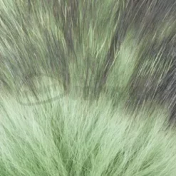 Nature's Spirit Badger Fur - Funky Fly Tying -Fly Tying Materials Sales Natures Spirit Badger Premium Winging Fur Green