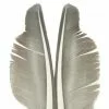 Nature's Spirit Goose Quills - Funky Fly Tying -Fly Tying Materials Sales Natures Spirit Canada Goose Biot Quill Goose Quill Body 1