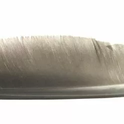 Nature's Spirit Goose Quills - Funky Fly Tying -Fly Tying Materials Sales Natures Spirit Canada Goose Biot Quill Goose Quill Body Natural Grey 1