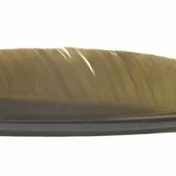 Nature's Spirit Goose Quills - Funky Fly Tying -Fly Tying Materials Sales Natures Spirit Canada Goose Biot Quill Goose Quill Body Olive