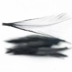 Nature's Spirit Dry Fly Tailing - Funky Fly Tying -Fly Tying Materials Sales Natures Spirit Dry Fly Tailing Black 1
