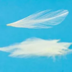 Nature's Spirit Dry Fly Tailing - Funky Fly Tying -Fly Tying Materials Sales Natures Spirit Dry Fly Tailing Cream 1