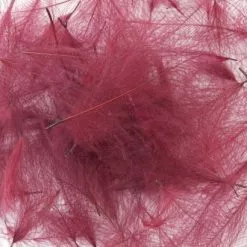 Nature's Spirit Duck CDC - Funky Fly Tying -Fly Tying Materials Sales Natures Spirit Duck CDC 6 1