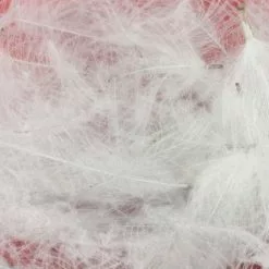 Nature's Spirit Duck CDC - Funky Fly Tying -Fly Tying Materials Sales Natures Spirit Duck CDC 7