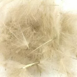 Nature's Spirit Duck CDC - Funky Fly Tying -Fly Tying Materials Sales Natures Spirit Duck CDC Callibaetis