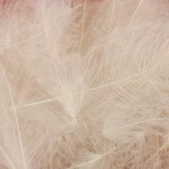 Nature's Spirit Duck CDC - Funky Fly Tying -Fly Tying Materials Sales Natures Spirit Duck CDC Light Cahill 1