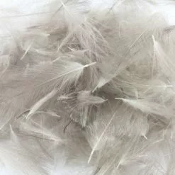 Nature's Spirit Duck CDC - Funky Fly Tying -Fly Tying Materials Sales Natures Spirit Duck CDC Natural Mallard