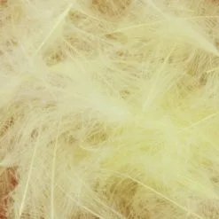Nature's Spirit Duck CDC - Funky Fly Tying -Fly Tying Materials Sales Natures Spirit Duck CDC Pale Yellow 1