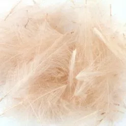 Nature's Spirit Duck CDC - Funky Fly Tying -Fly Tying Materials Sales Natures Spirit Duck CDC Pink Cahill 1